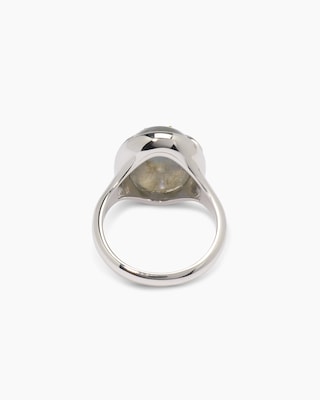 Produktabbildung 4 für Ring mit Labradorit und Libelle