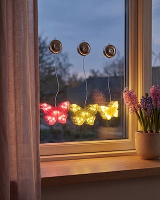 Produktabbildung 2 für LED-Schmetterlinge mit Saugnapf, 3tlg.