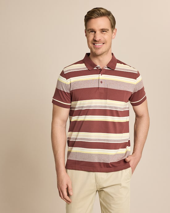 Produktabbildung für Poloshirt Streifen