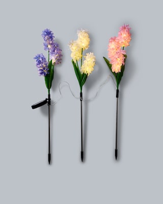 Produktabbildung 2 für Solar-Hyazinthen, 2er-Set