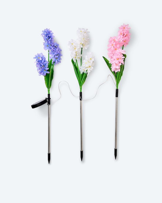 Produktabbildung für Solar-Hyazinthen, 2er-Set