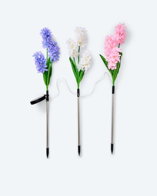 Produktabbildung 1 für Solar-Hyazinthen, 2er-Set