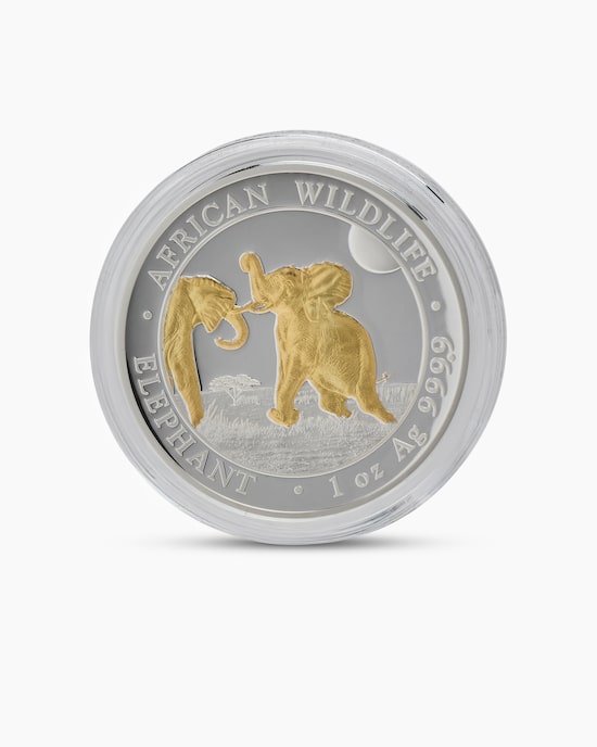 Produktabbildung für Highrelief Elefant 2024