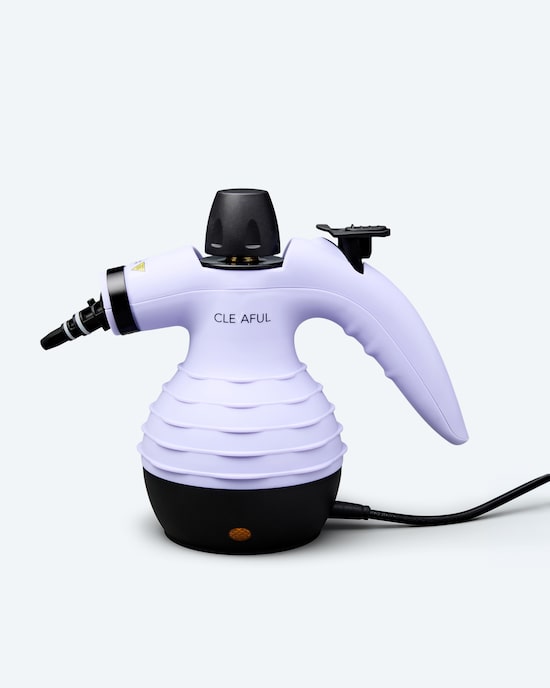 Produktabbildung für Handdampfreiniger mit Zubehör