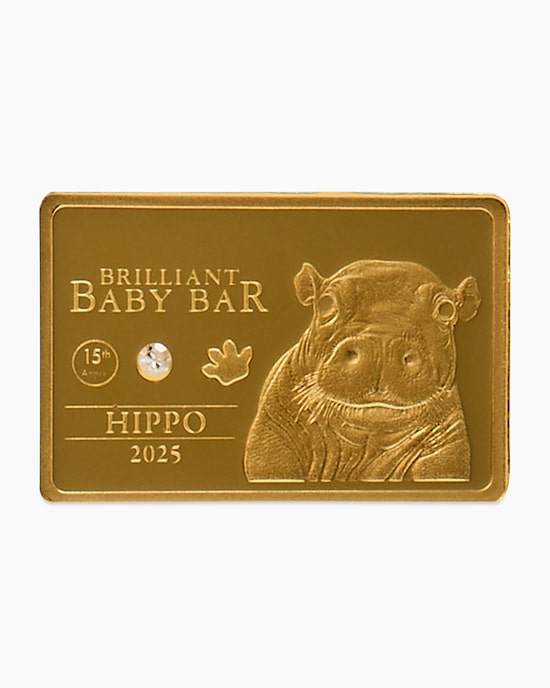 Produktabbildung für Brilliant Baby Bar Nilpferd 2025