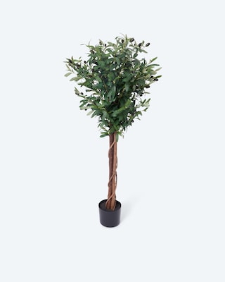 Produktabbildung 1 für Kunstpflanze Olivenbaum