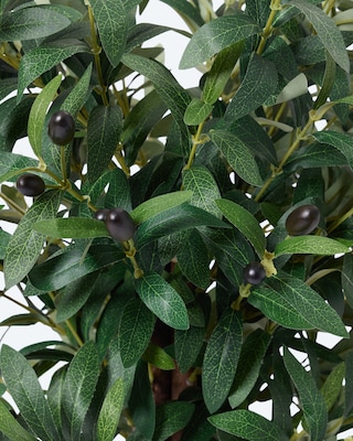 Produktabbildung 2 für Kunstpflanze Olivenbaum