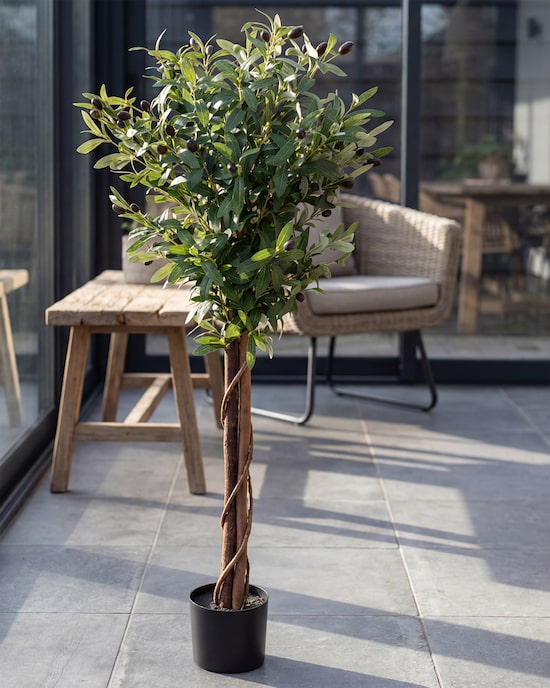 Produktabbildung für Kunstpflanze Olivenbaum