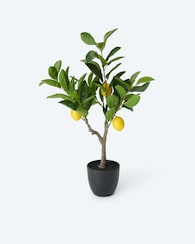 Produktabbildung für Kunstpflanze Zitronenbäumchen