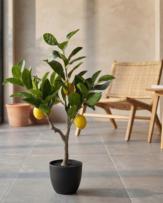 Produktabbildung für Kunstpflanze Zitronenbäumchen