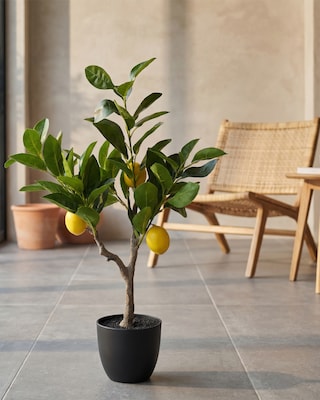 Produktabbildung 1 für Kunstpflanze Zitronenbäumchen