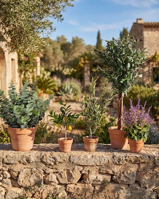 Produktabbildung 2 für Kunstpflanze Zitronenbäumchen