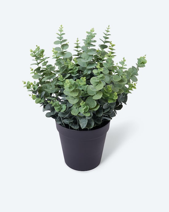 Produktabbildung für Kunstpflanze Eukalyptus XXL