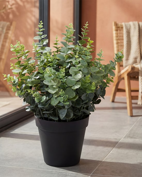 Produktabbildung für Kunstpflanze Eukalyptus XXL