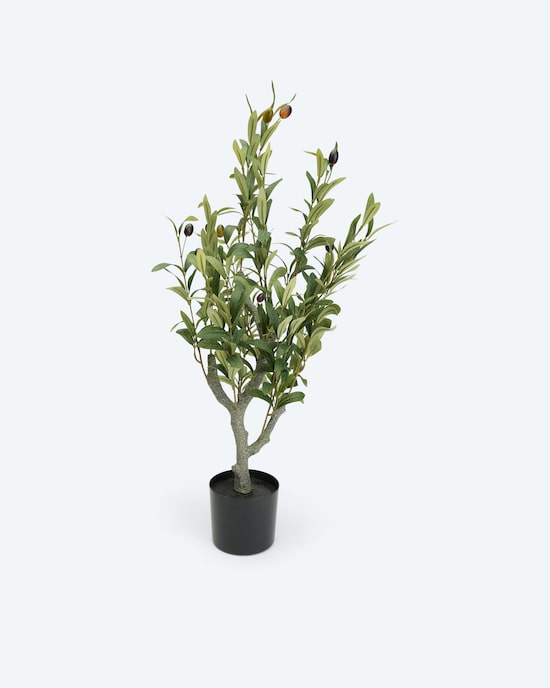 Produktabbildung für Kunstpflanze Olivenbaum