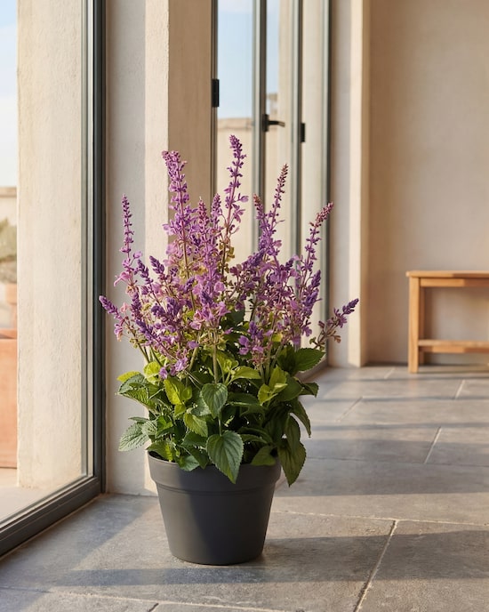 Produktabbildung für Kunstpflanze Salbei