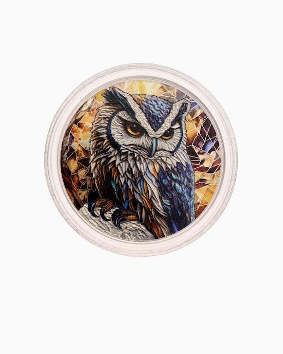 Produktabbildung für Silbermünze "Noble Wildlife Eule"