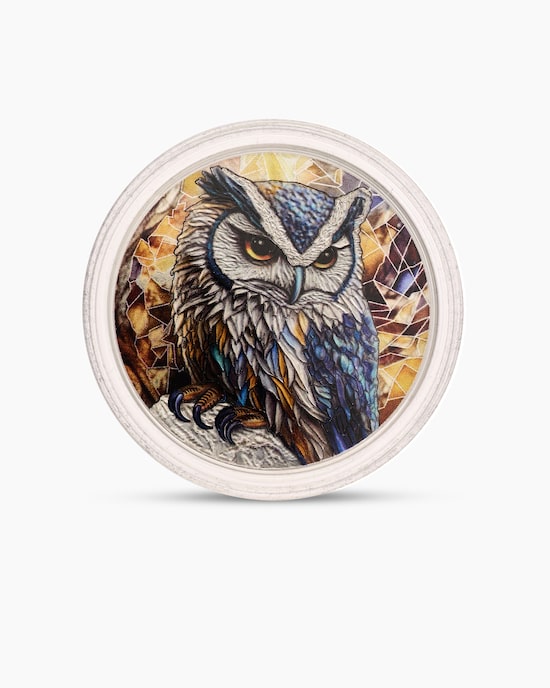 Produktabbildung für Silbermünze "Noble Wildlife Eule"