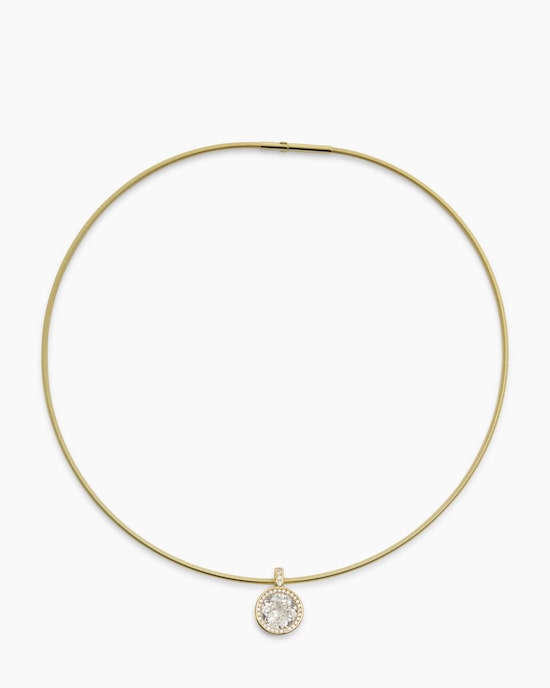 Produktabbildung für Omegareif mit Varioclip-Anhänger