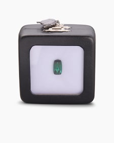 Produktabbildung für Sammler-Turmalin Golconda 2,74 ct