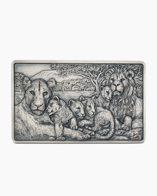 Produktabbildung für De Greef Silberkilo Löwenfamilie