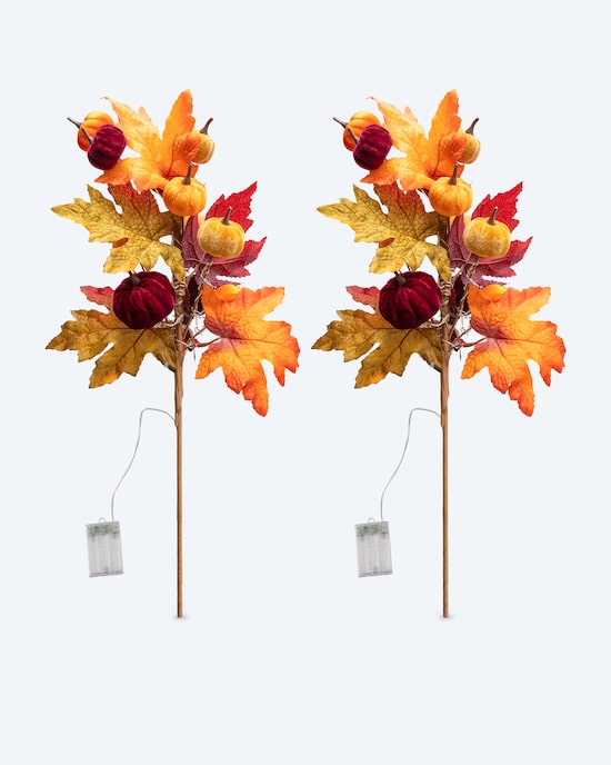 Produktabbildung für LED-Dekozweige Herbst mit Samt-Kürbissen, 2tlg.