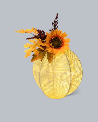 Produktabbildung 2 für LED Deko-Kürbis mit Sonnenblume