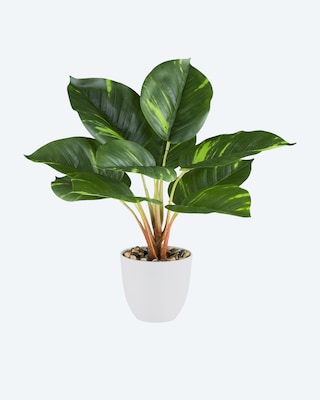Produktabbildung 2 für Kunstpflanzen-Set Dieffenbachia/Philodendron, 2tlg.