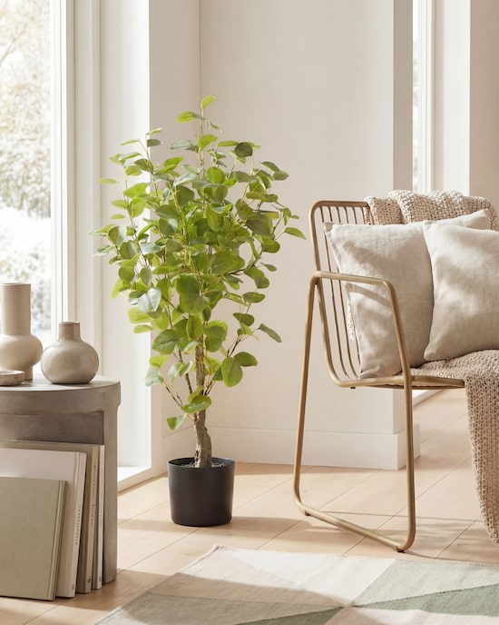 Produktabbildung für Eukalyptus-Kunstpflanze im Topf