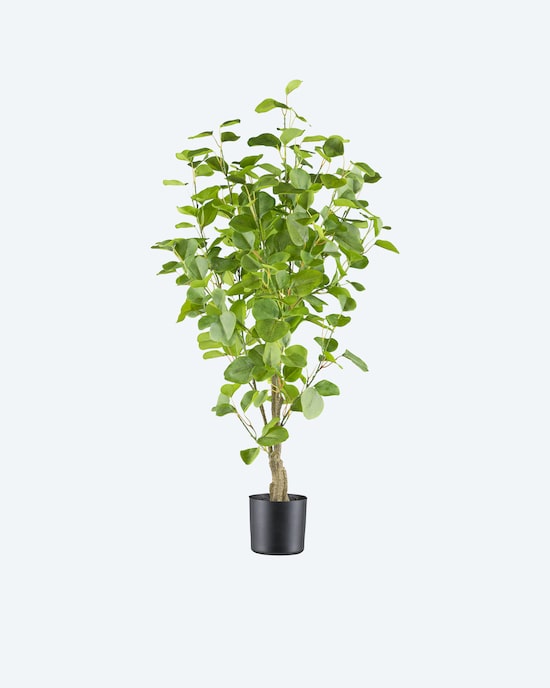 Produktabbildung für Eukalyptus-Kunstpflanze im Topf