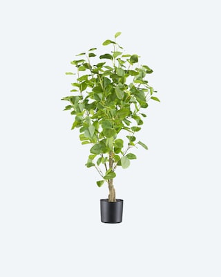 Produktabbildung 2 für Eukalyptus-Kunstpflanze im Topf