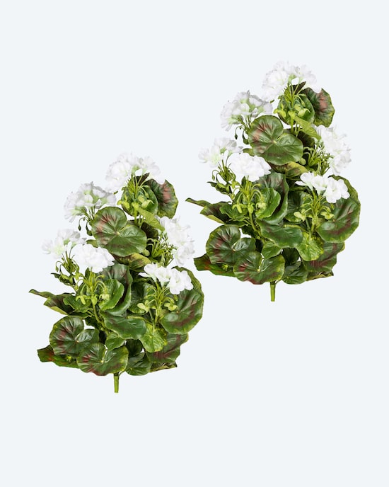 Produktabbildung für Geranienbusch-Set, 2tlg.