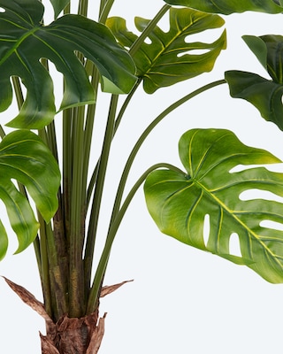 Produktabbildung 2 für Split Philodendron Kunstpflanze