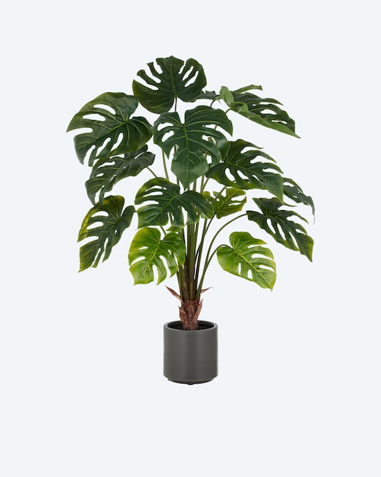 Produktabbildung für Split Philodendron Kunstpflanze