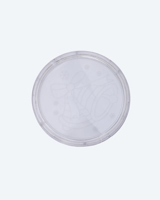 Produktabbildung 4 für LED-Fensterdekorationen, 2tlg.