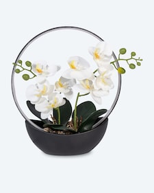 Produktabbildung für LED-Orchidee Real Touch mit Lichtring