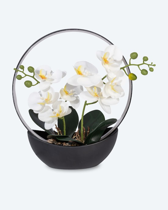 Produktabbildung für LED-Orchidee Real Touch mit Lichtring