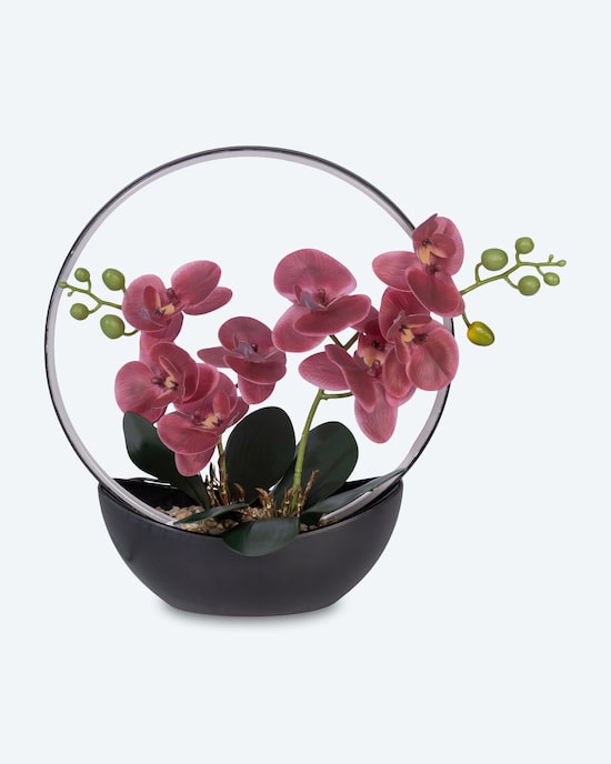 Produktabbildung für LED-Orchidee Real Touch mit Lichtring
