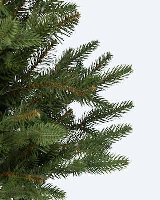 Produktabbildung 4 für Weihnachtsbaum im Topf, 60 cm
