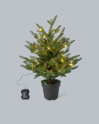 Produktabbildung 2 für Weihnachtsbaum im Topf, 60 cm