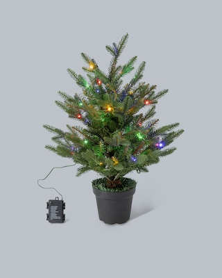 Produktabbildung 3 für Weihnachtsbaum im Topf, 60 cm