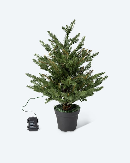 Produktabbildung für Weihnachtsbaum im Topf, 60 cm