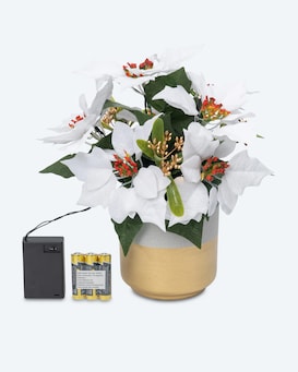 Produktabbildung für LED Weihnachtsstern im Topf