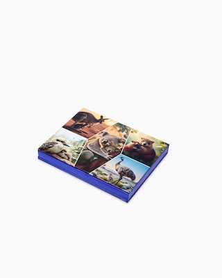 Produktabbildung 3 für Goldmünzbarren Little Five Australia 2026, 5tlg.