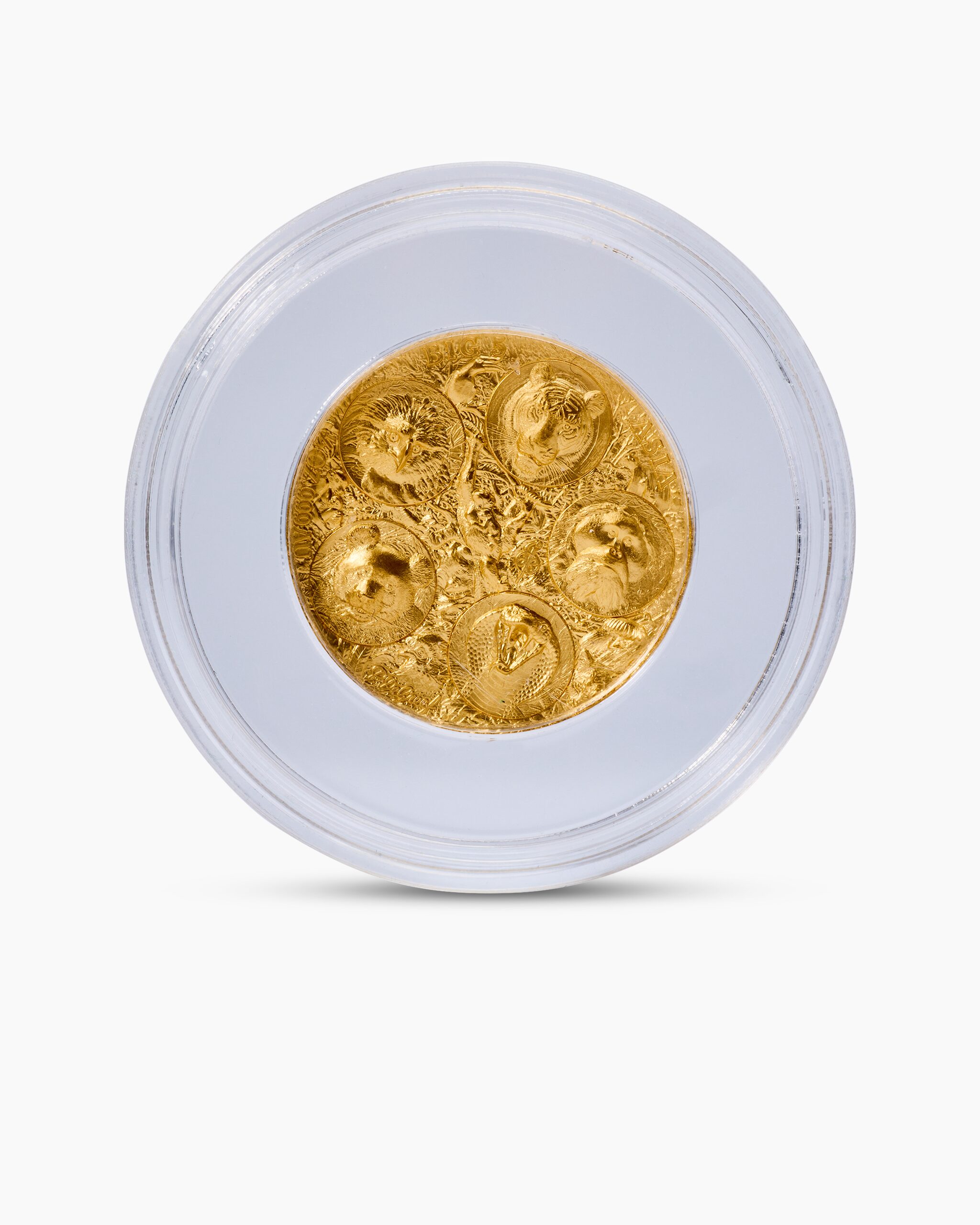 Produktabbildung für Goldmünze Big Five Asia Completer 1/2 oz