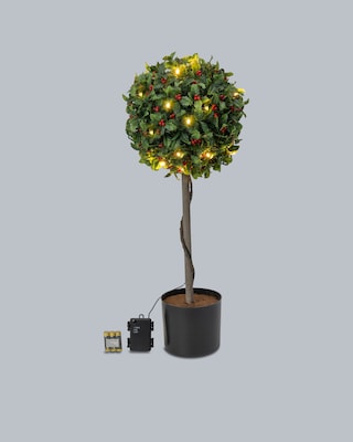 Produktabbildung 2 für Stechpalme mit LEDs