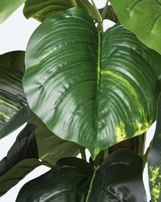 Produktabbildung 2 für Kunstpflanze Philodendron scandens