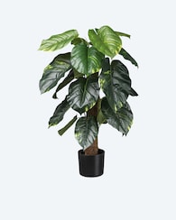 Produktabbildung für Kunstpflanze Philodendron scandens