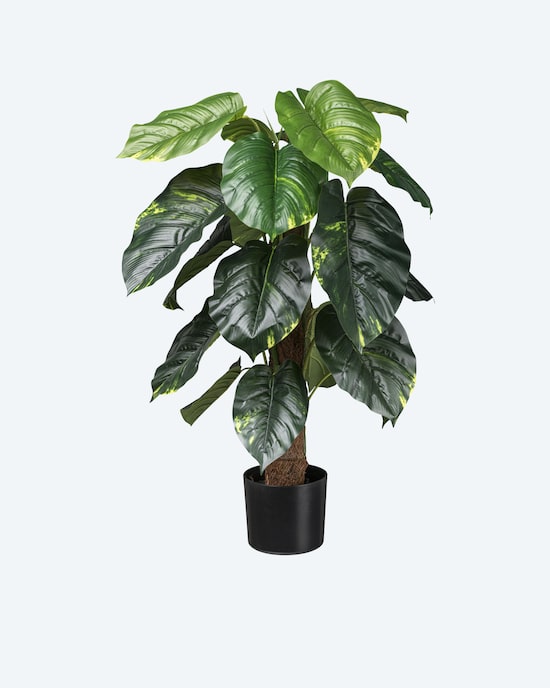 Produktabbildung für Kunstpflanze Philodendron scandens
