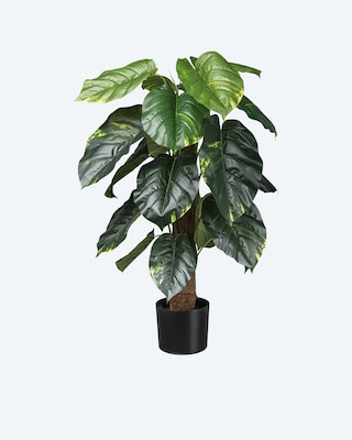 Produktabbildung 1 für Kunstpflanze Philodendron scandens
